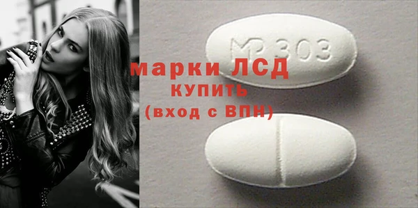 индика Беломорск