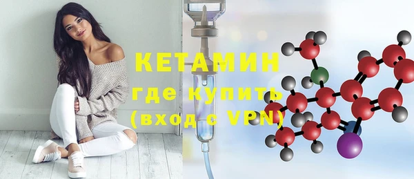 стаф Богданович