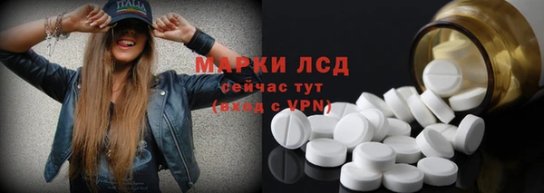 индика Беломорск