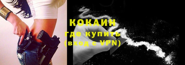 стаф Богданович