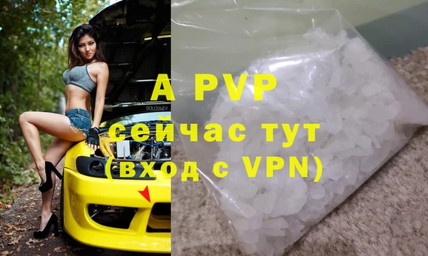 стаф Богданович