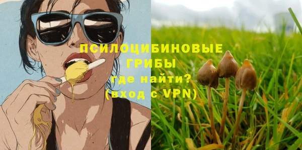 jwh Богородицк