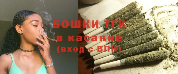 стаф Богданович