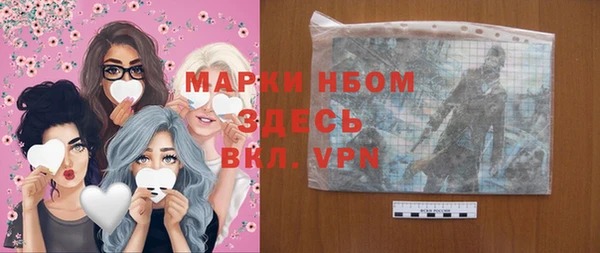 индика Беломорск