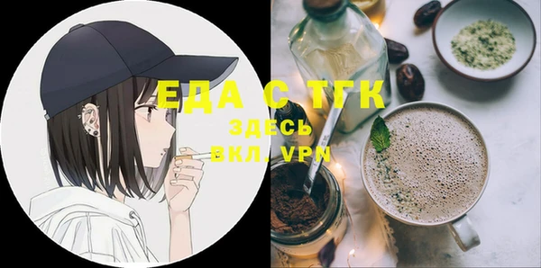 стаф Богданович