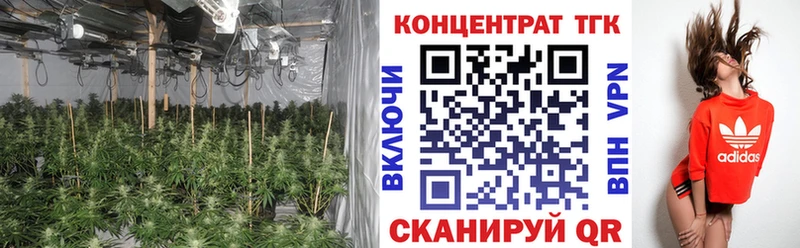 цены наркотик  Вуктыл  ТГК концентрат 